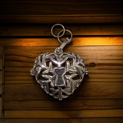 Dije Relicario Corazon con Llave