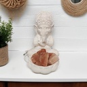 Lampara de Sal con Ganesha de Yeso Chico 22cm